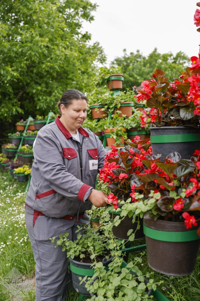 Egynyári Győr-Szol MG