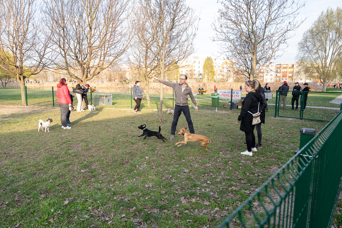 Kutyafuttatót adtak át Szabadhegyen 