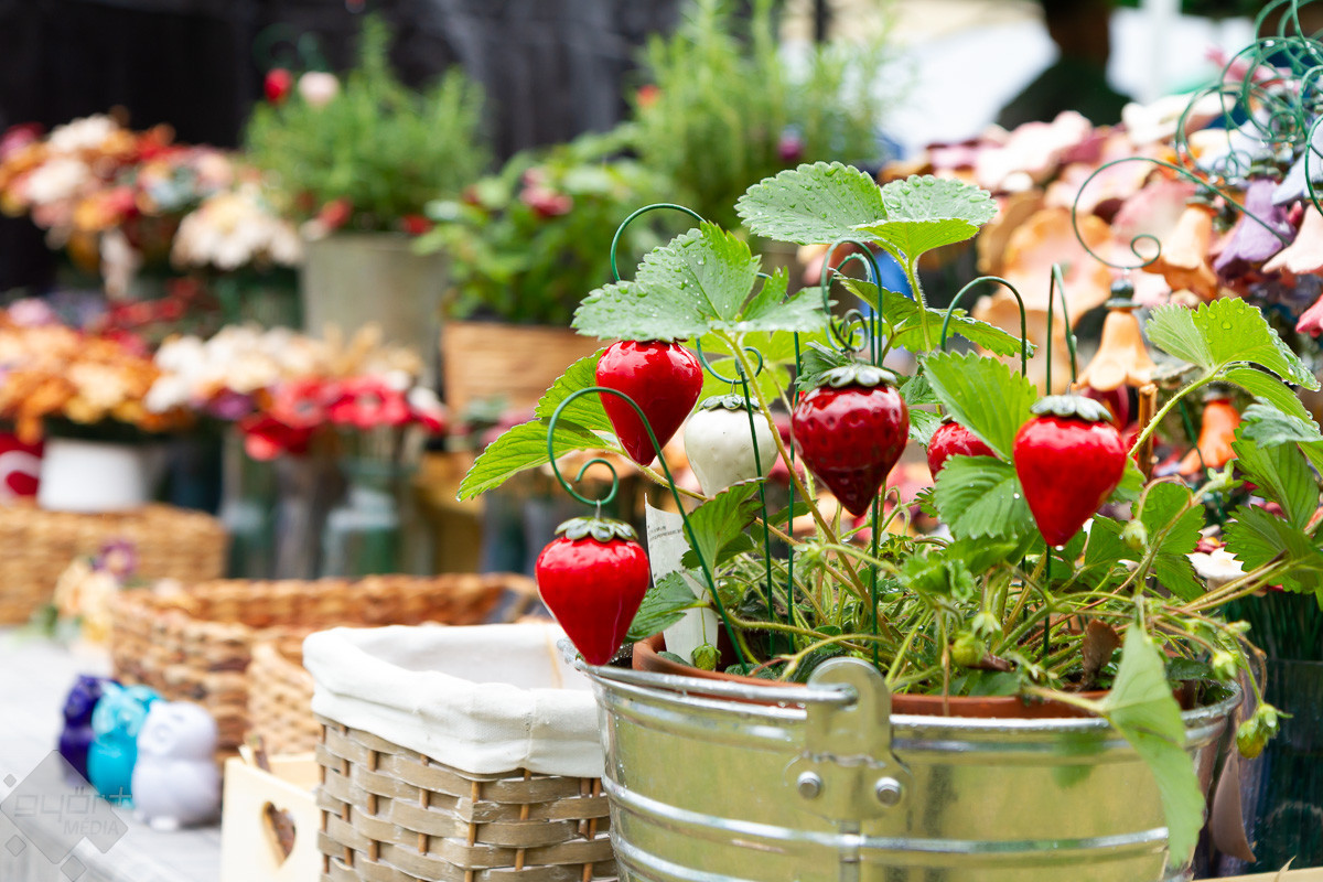 Különleges Szigetközi Szatyor vásár a lekváros kenyér imádói számára