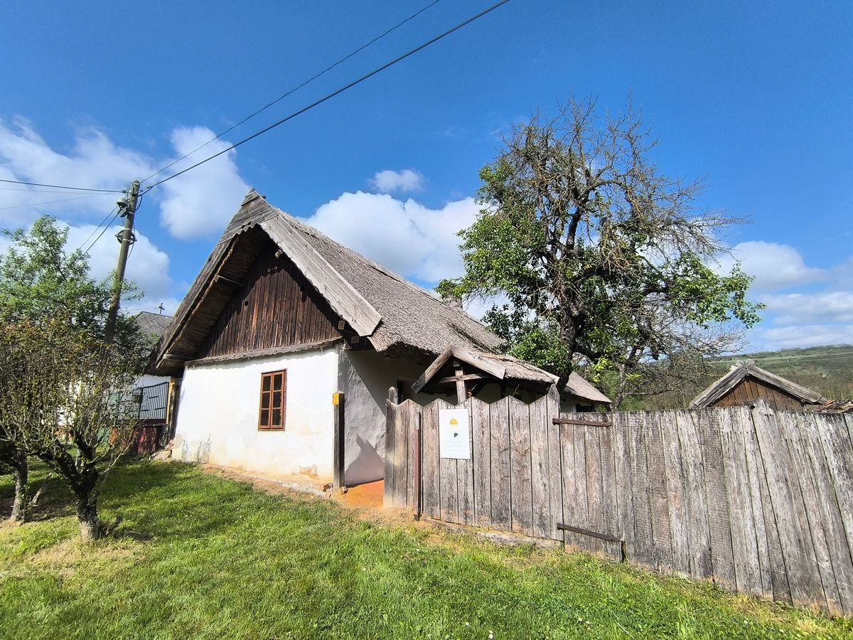 Tényő